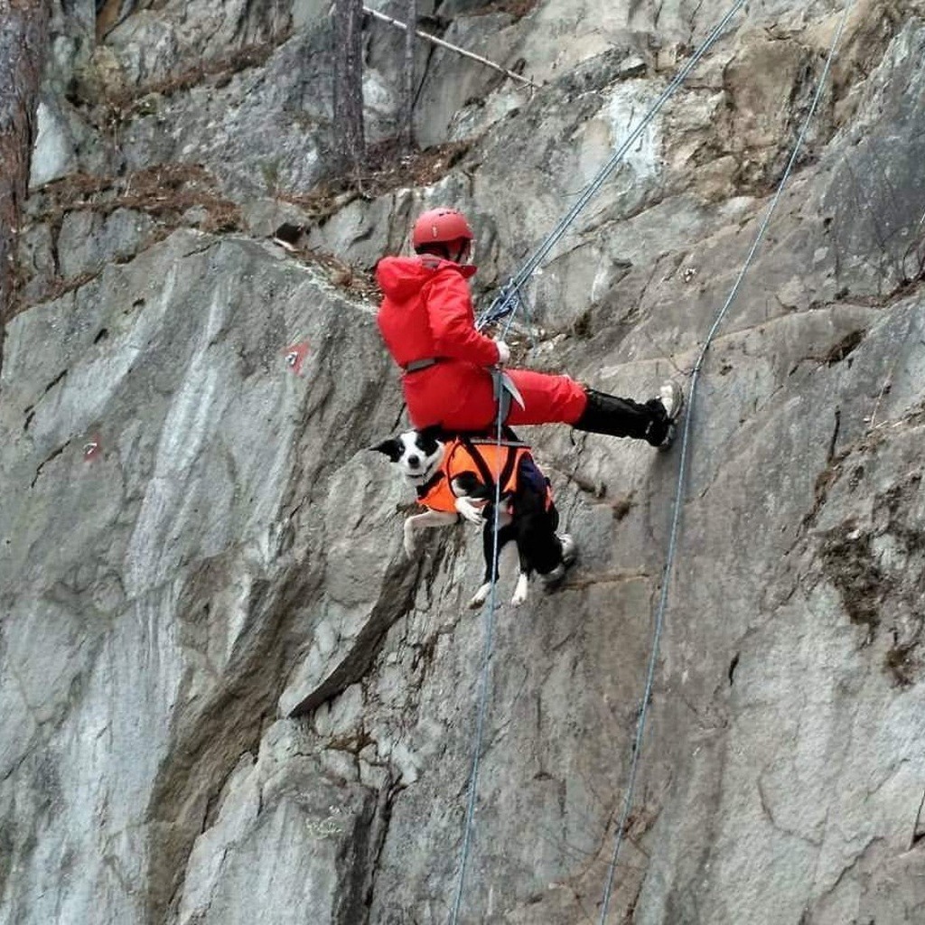 сайт Госкомитета РБ по ЧС