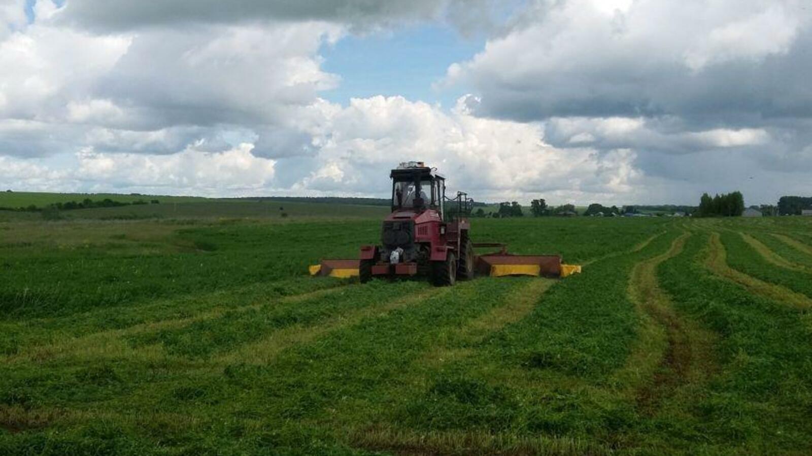 Минсельхоз РБ