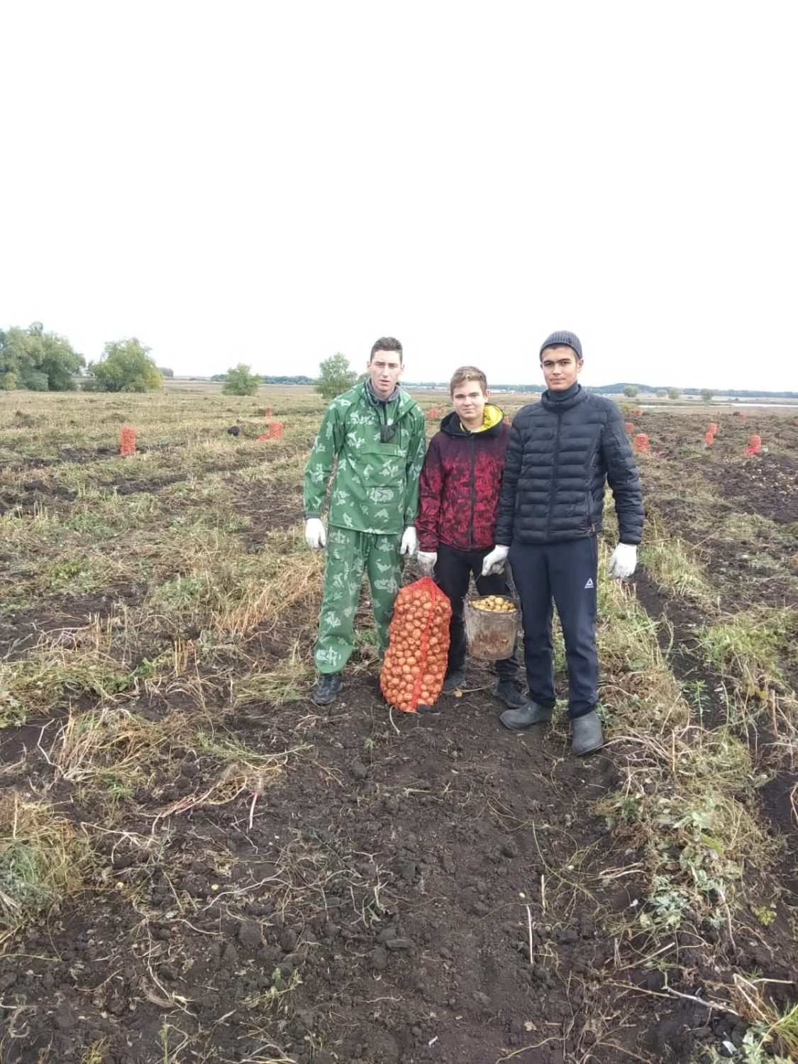 В Буздякском районе студенты помогли убрать урожай семье ушедшего добровольцем на СВО фермера
