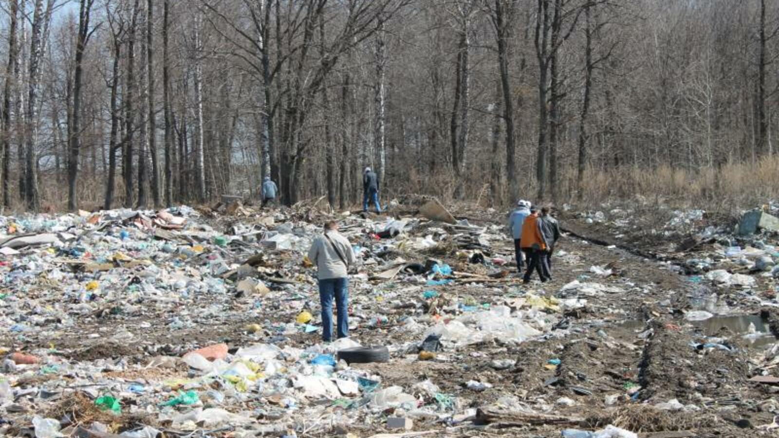 пресс-служба ОНФ