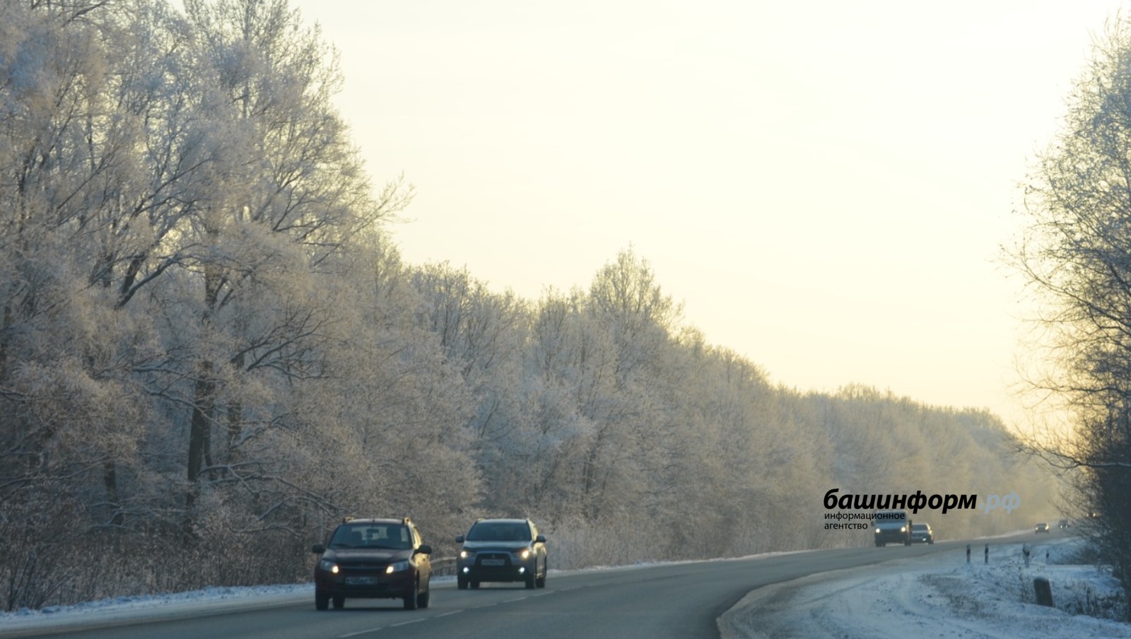 Ксения Калинина  ИА Башинформ