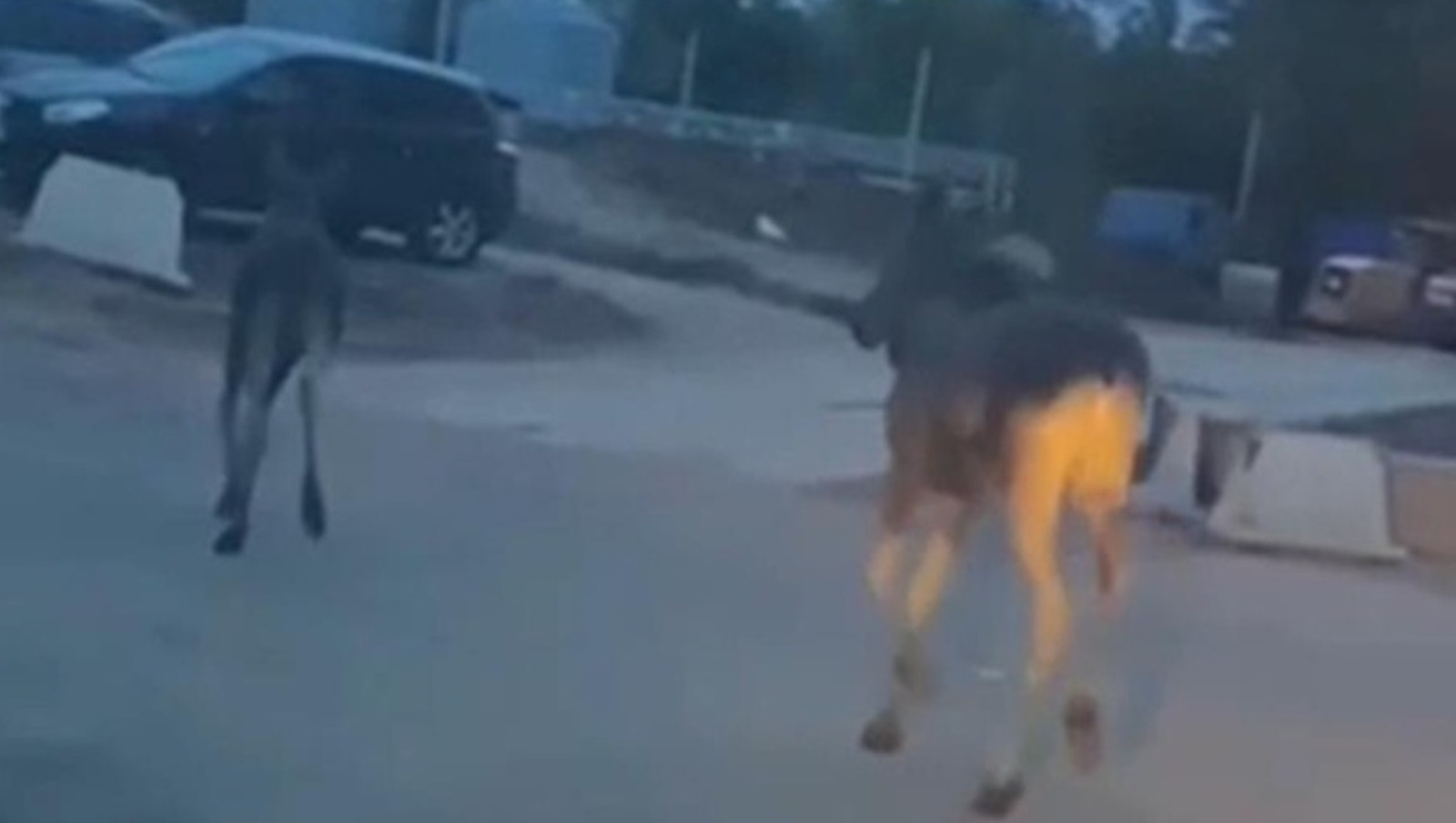 соцсети
