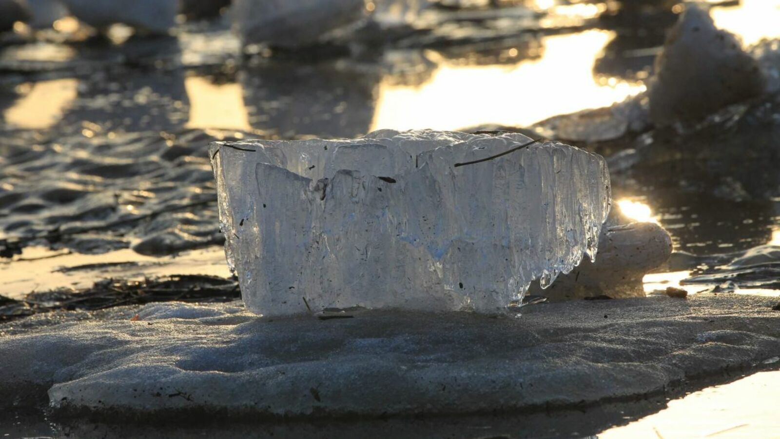 Олег Яровиков