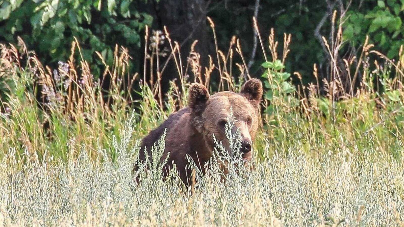 Нацпарк Башкирия