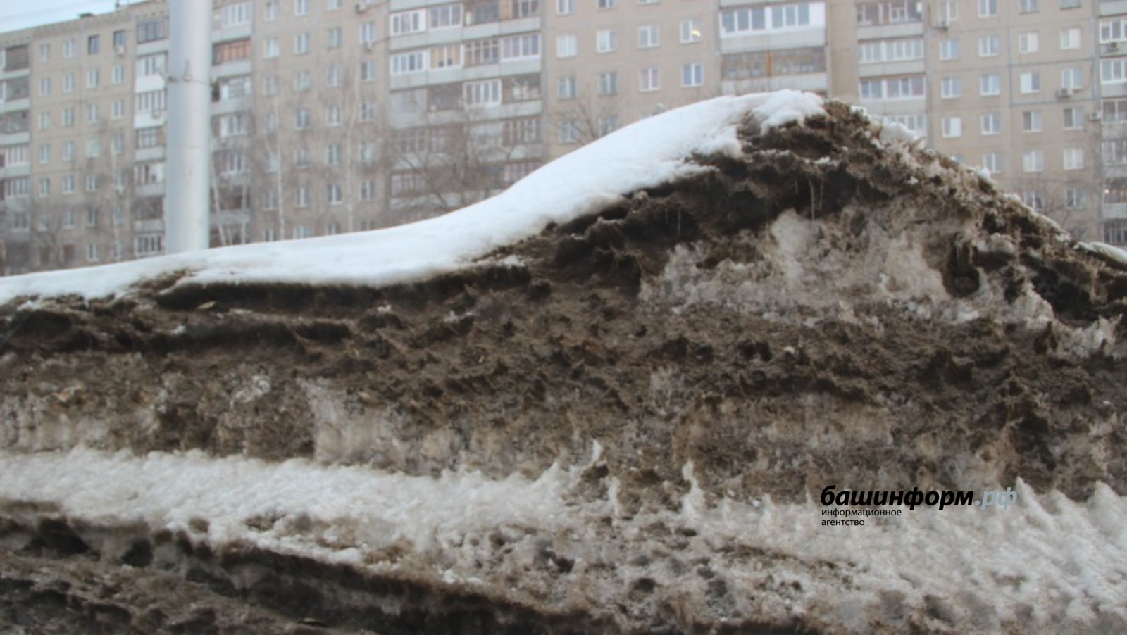 Ксения Калинина