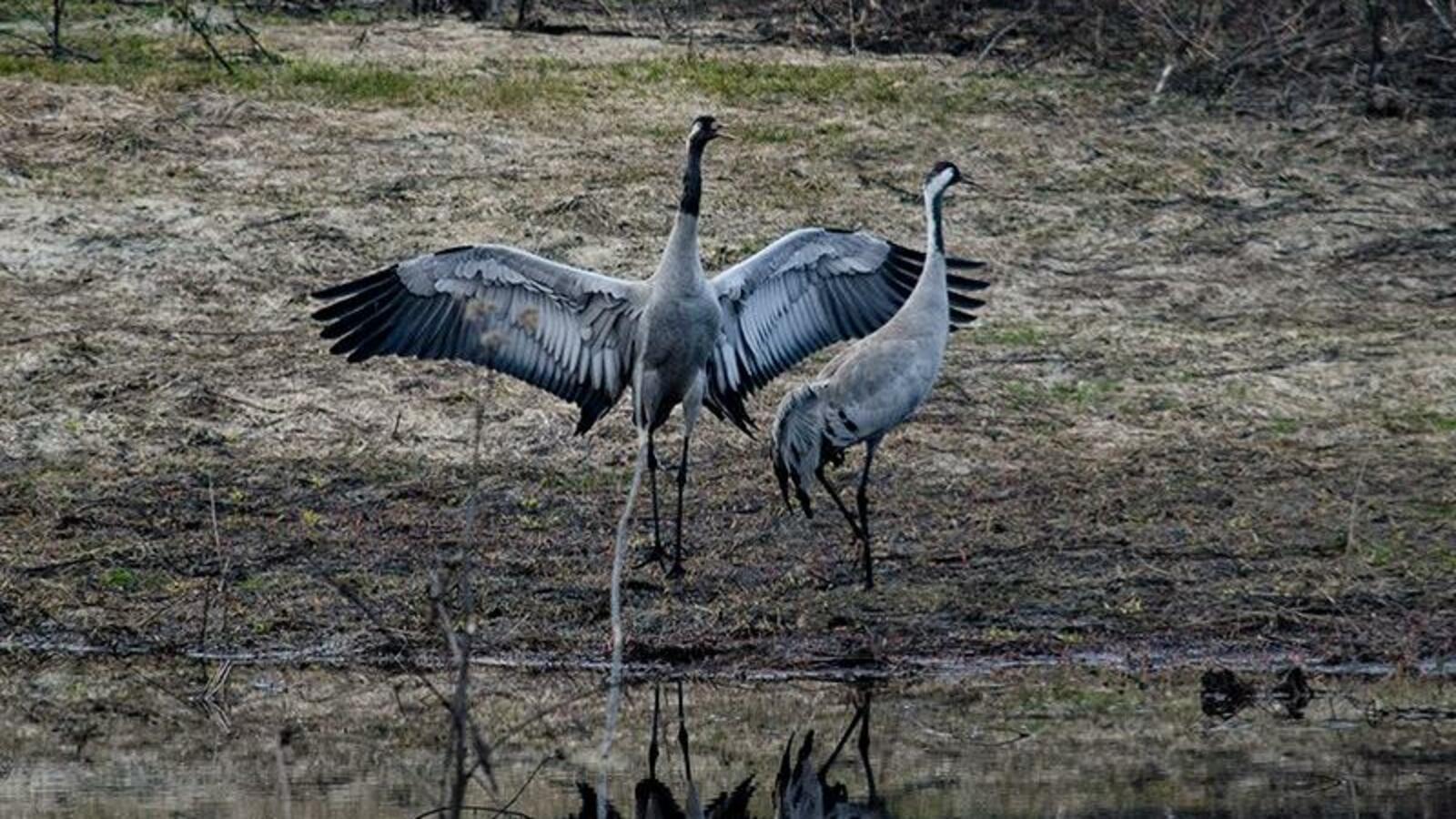 Ильдус Нурмухаметов