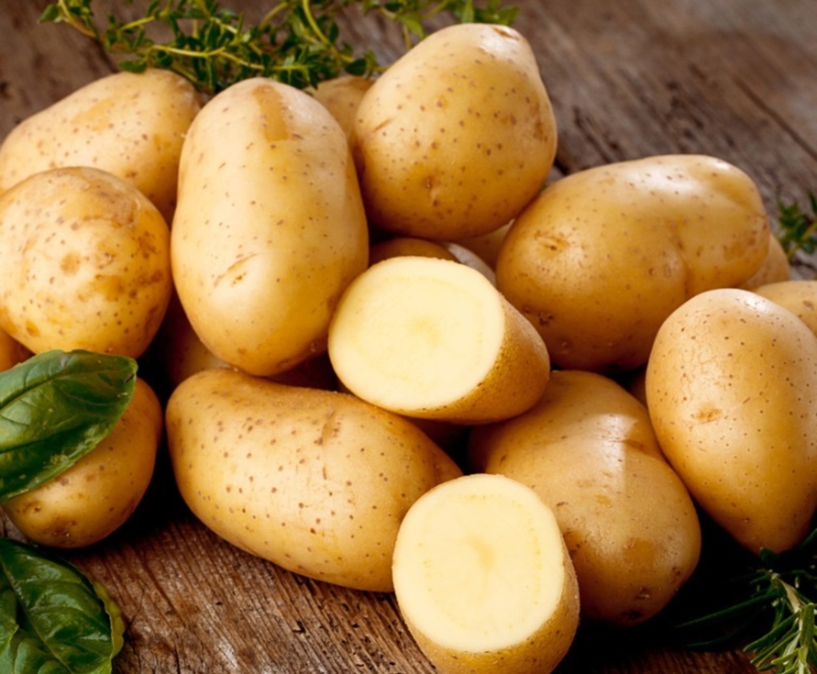 В Башкирии запустят программу поддержки самозанятых, выращивающих картофель и овощи