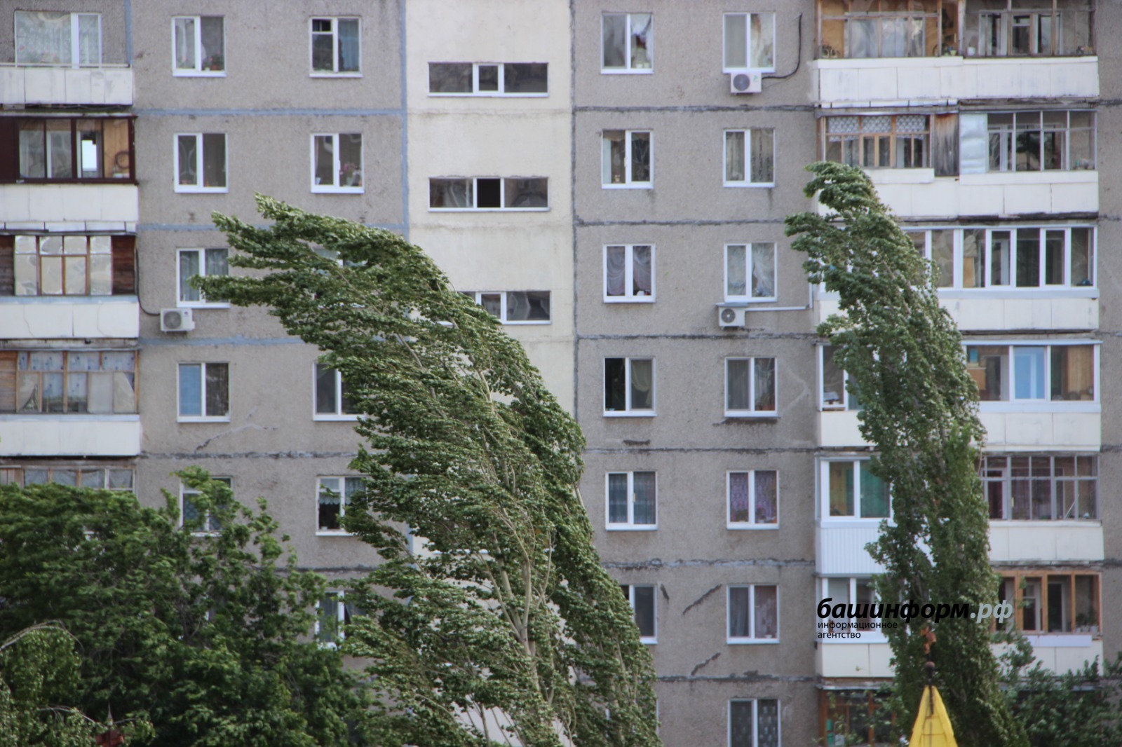 Ксения Калинина