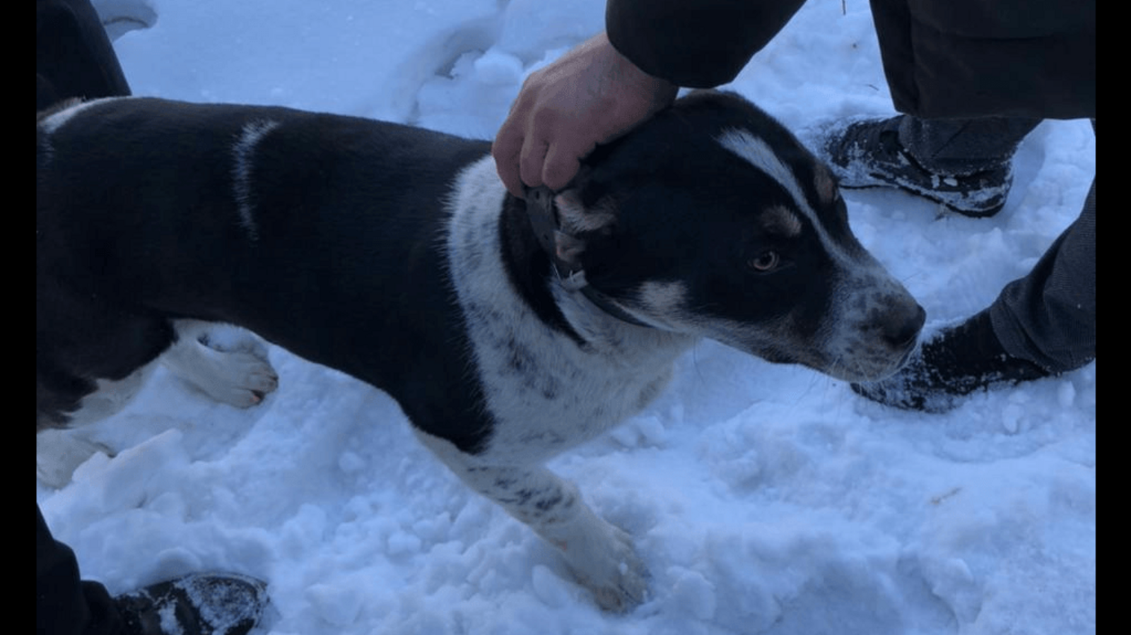 Госкомитет РБ по ЧС