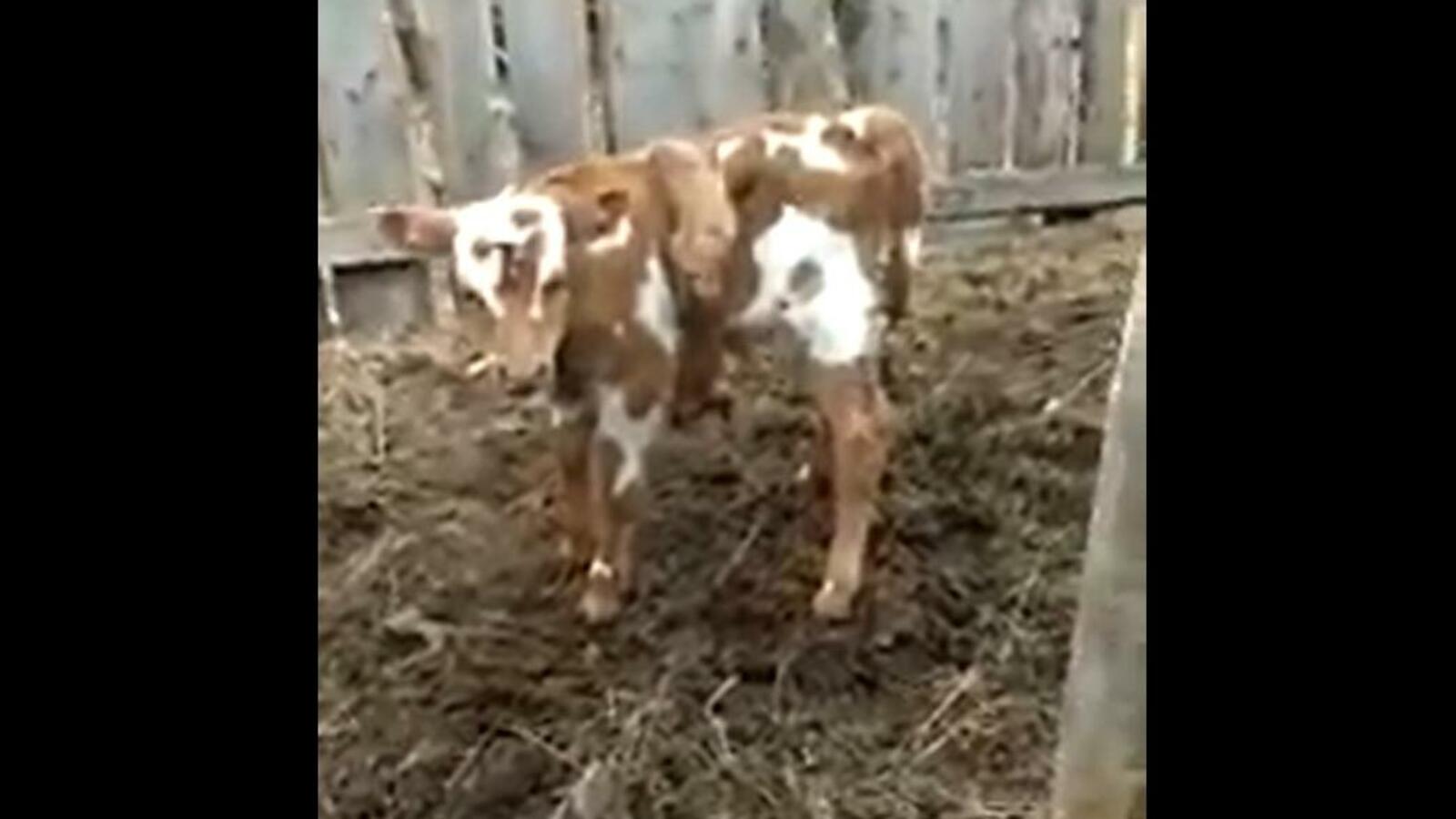 стоп-кадр видео