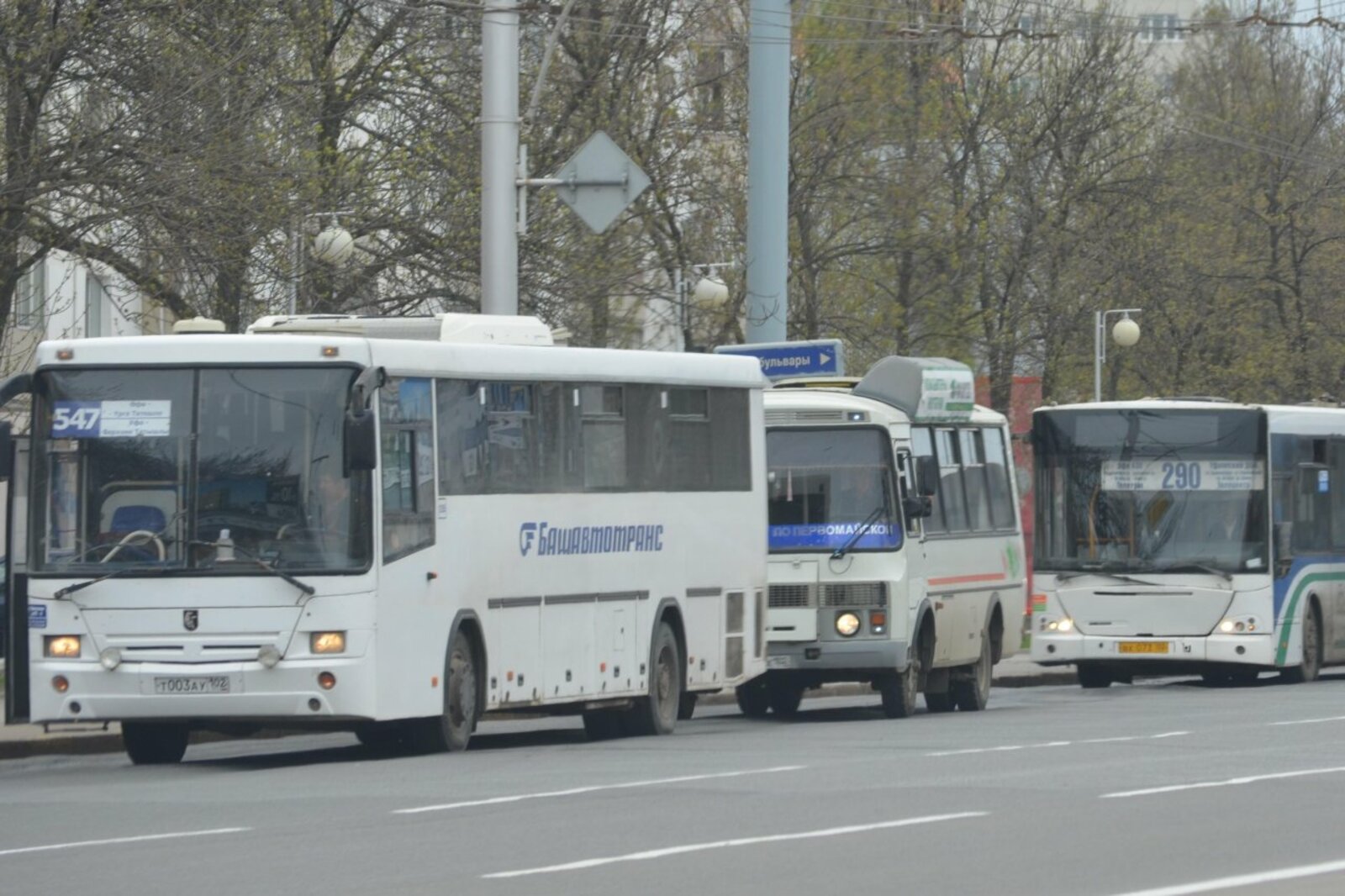 автор