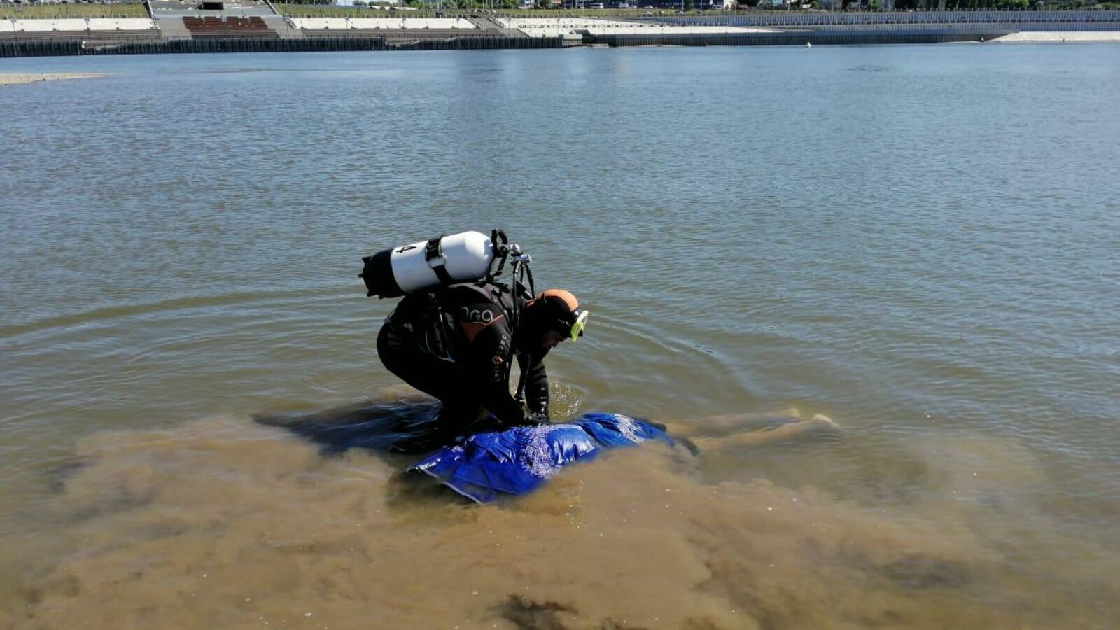 госкомитет РБ по ЧС