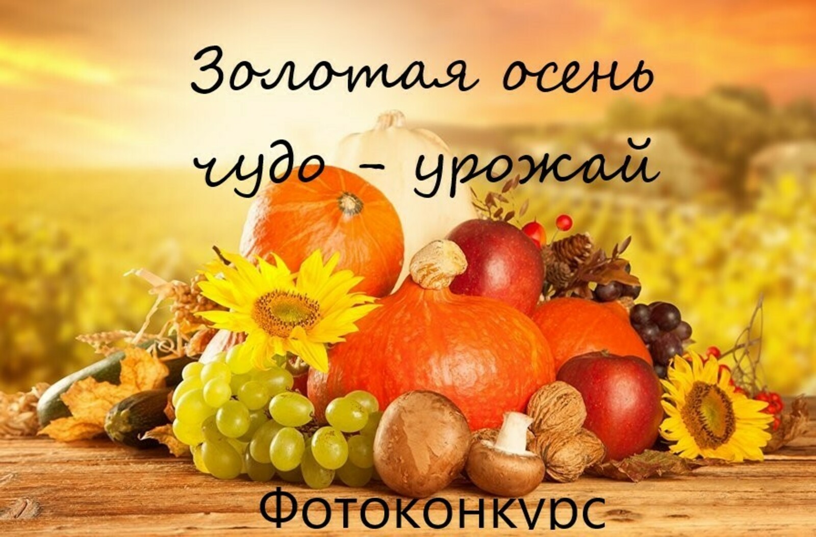 Кигинский информационный центр запускает голосование фотоконкурса "Золотая осень: чудо-урожай"