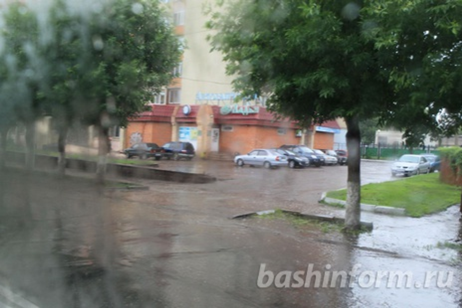 Андрей Старостин