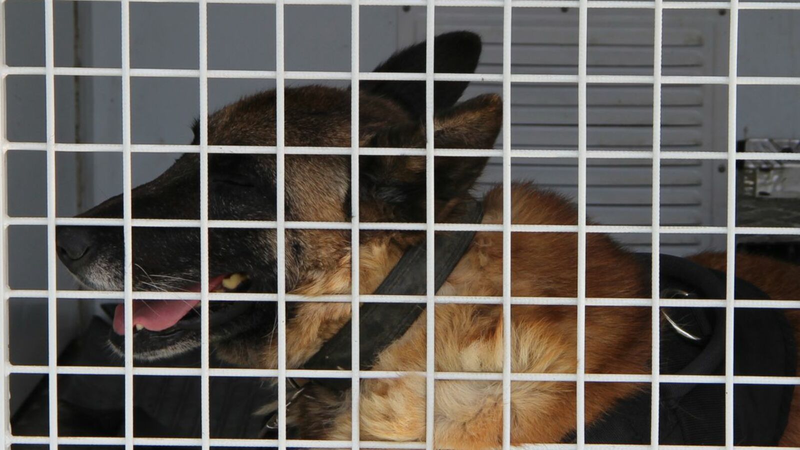 Артур Басыров