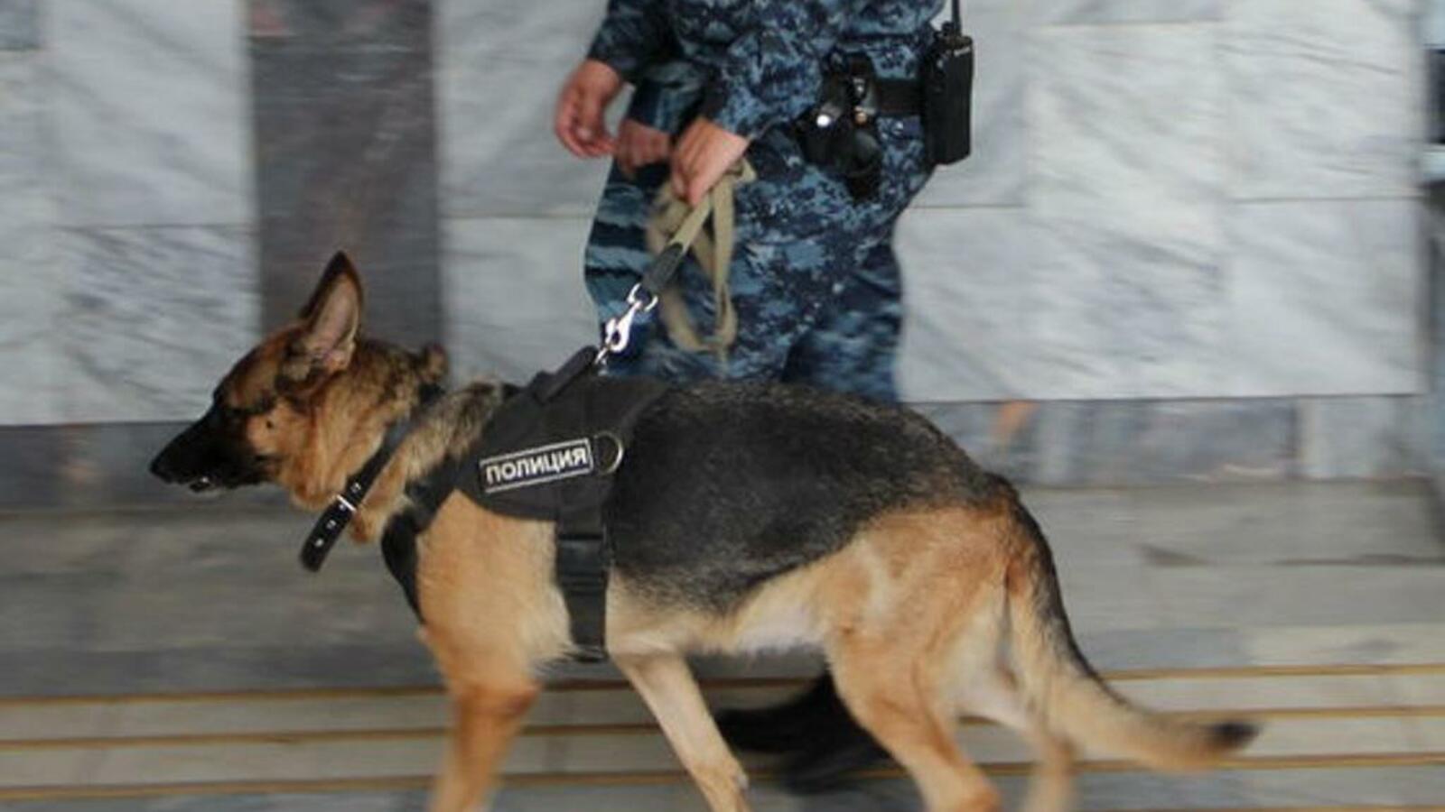 Ксения Калинина