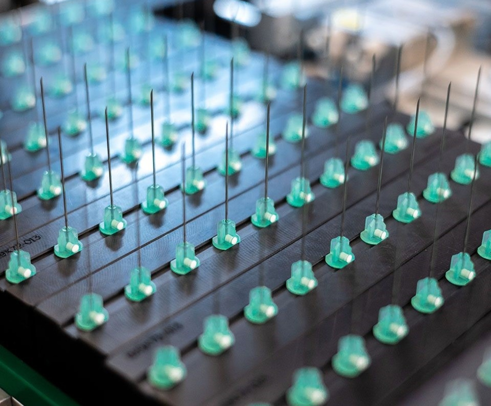 правительство РБ