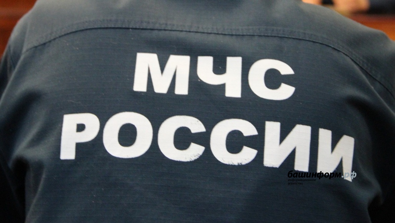 Ксения Калинина