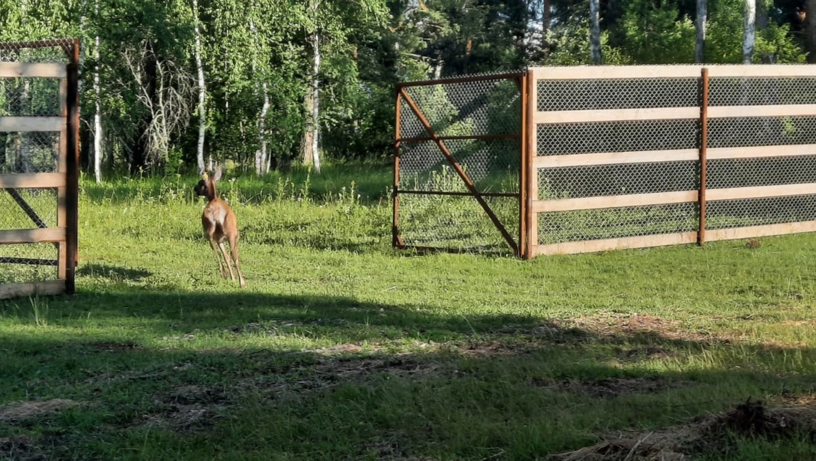 Башкирский заповедник