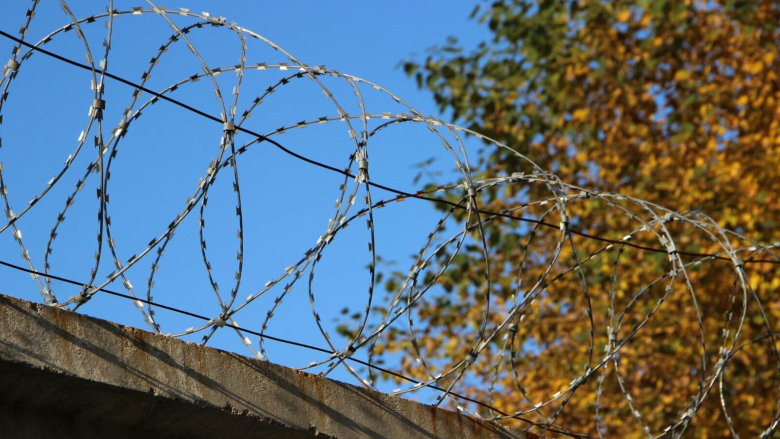 Ксения Калинина