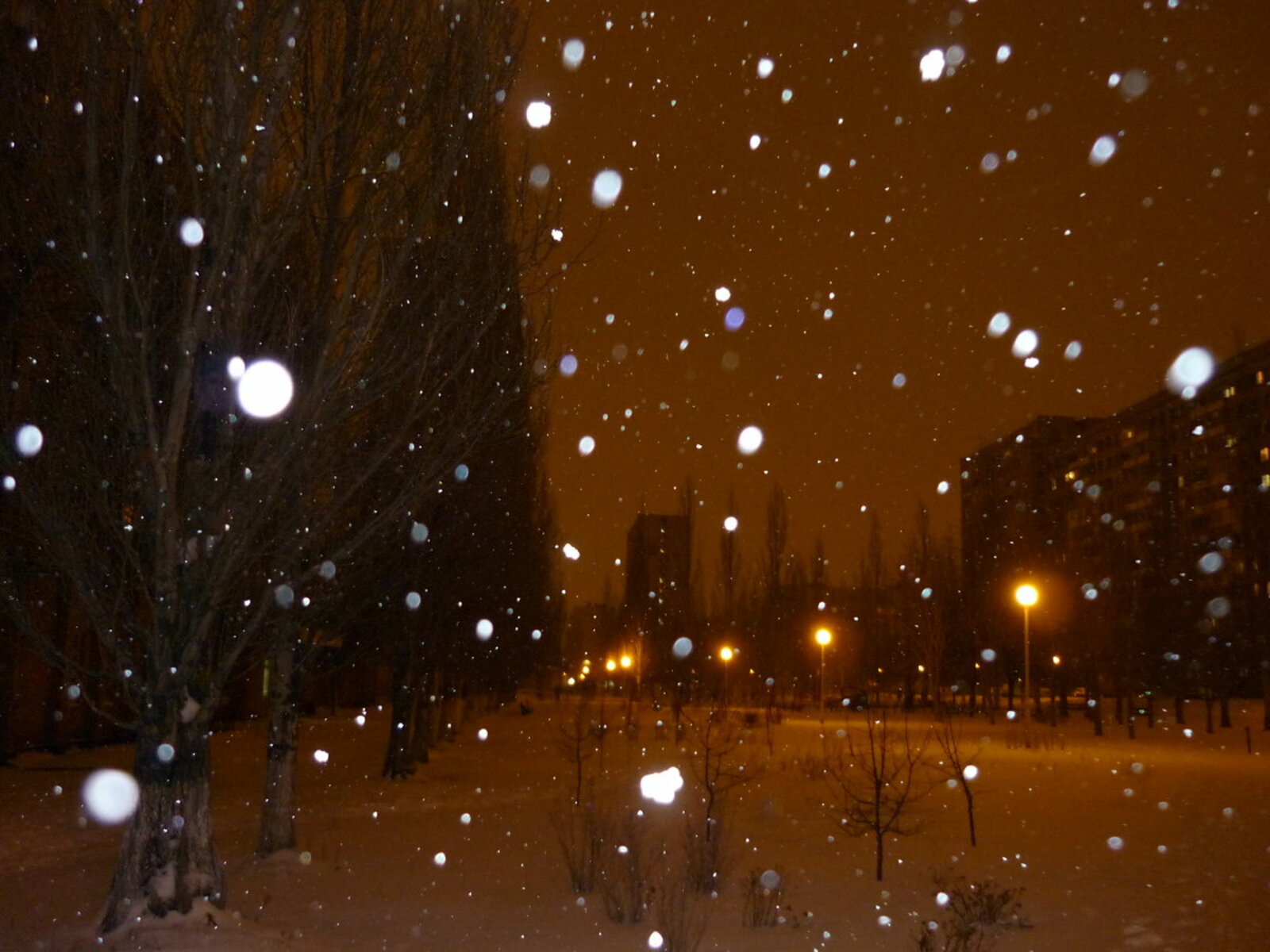 Жителей Башкирии ждёт снежная и морозная новогодняя ночь