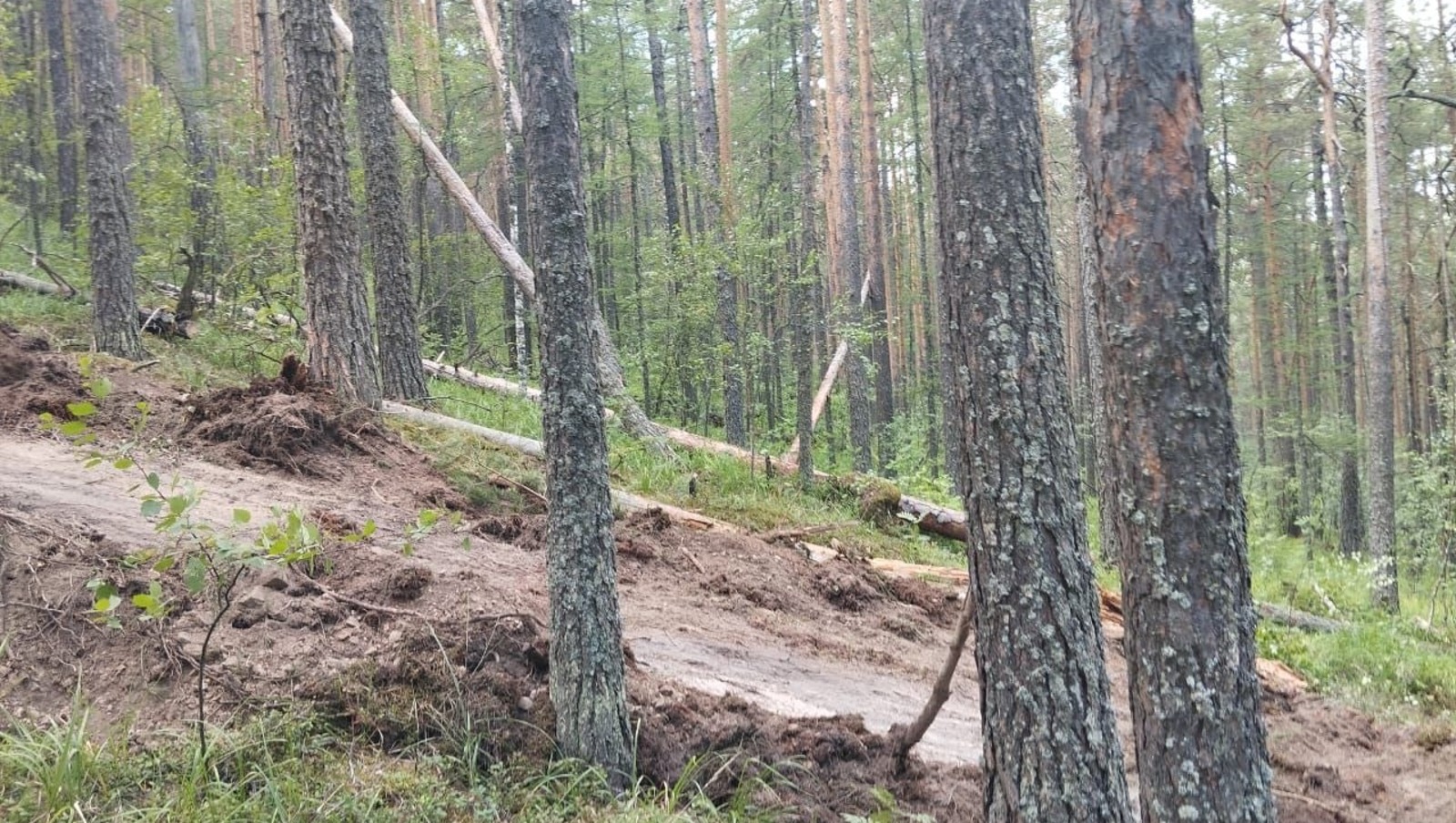 Госкомитет РБ по ЧС