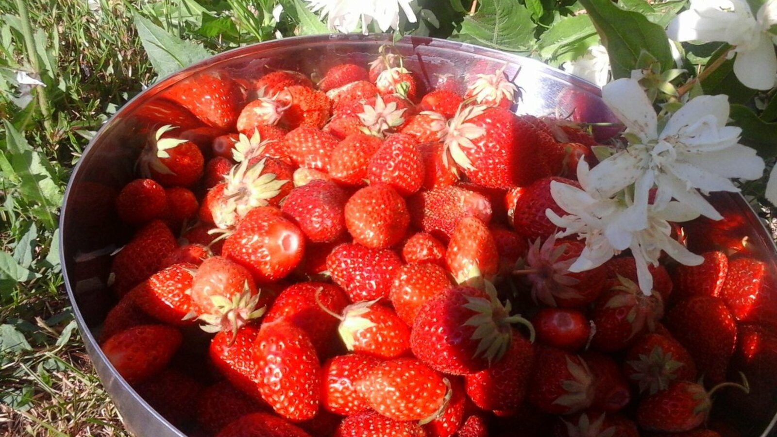 Галия Набиева