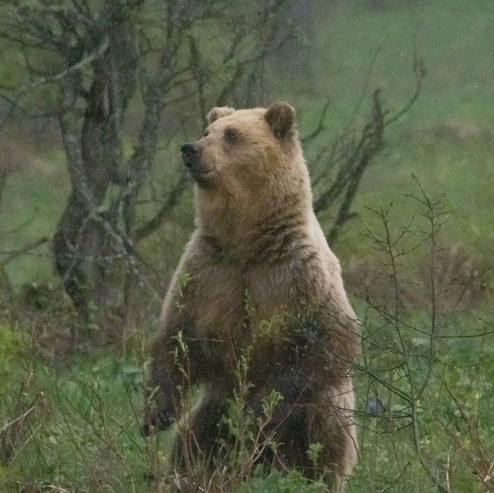 телеграм-канал нацпарка «Башкирия»