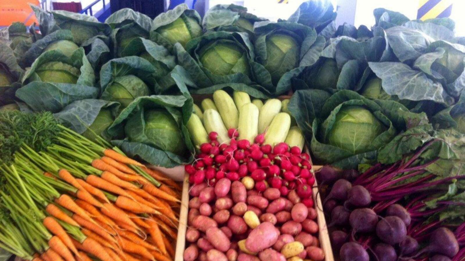 ИА «Башинформ»