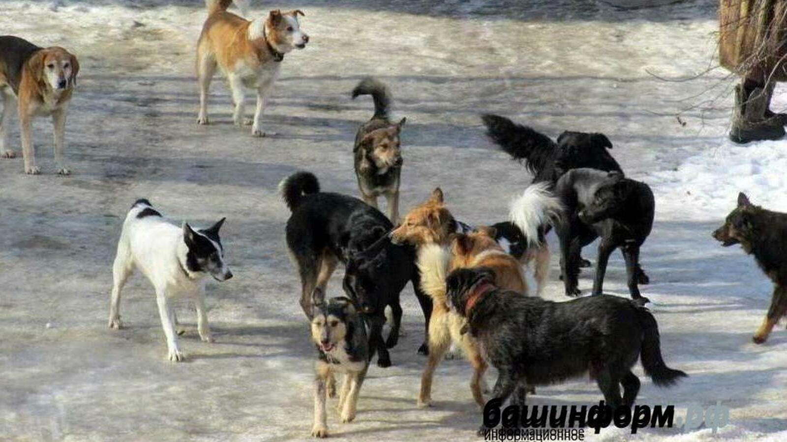 ИА «Башинформ»