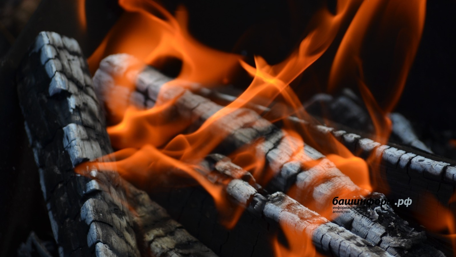 Ксения Калинина