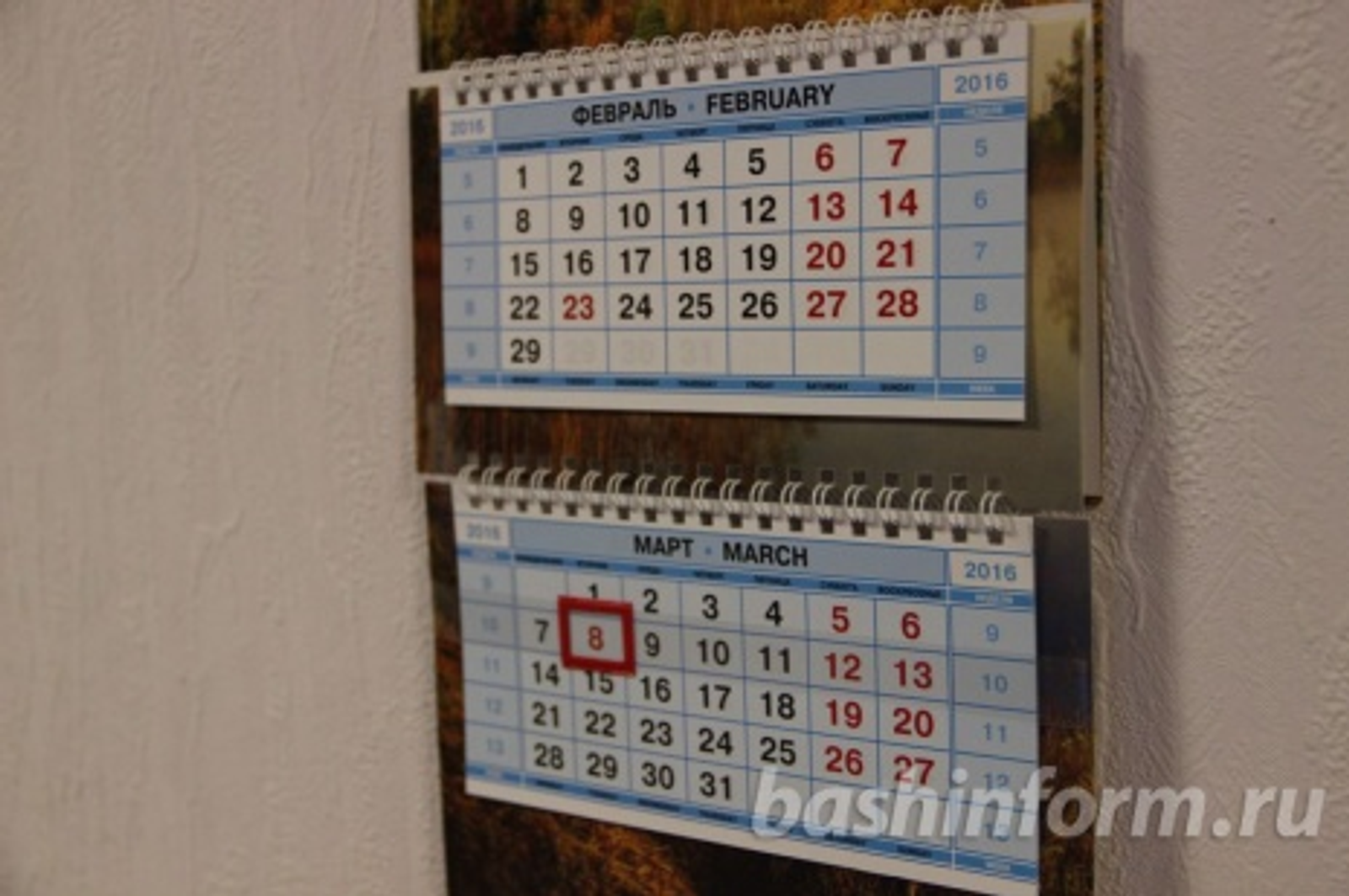 Ксения Калинина