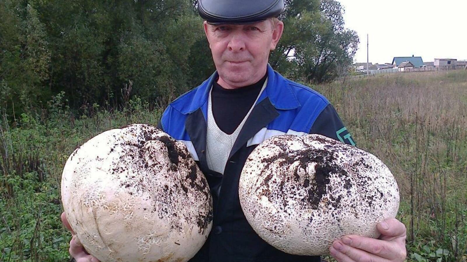 ИА «Башинформ»