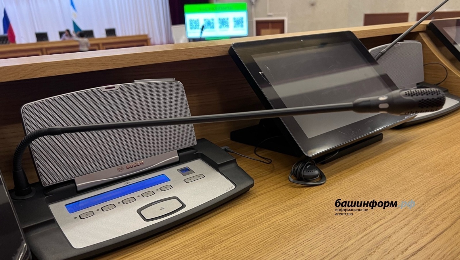 Ксения Калинина Башинформ