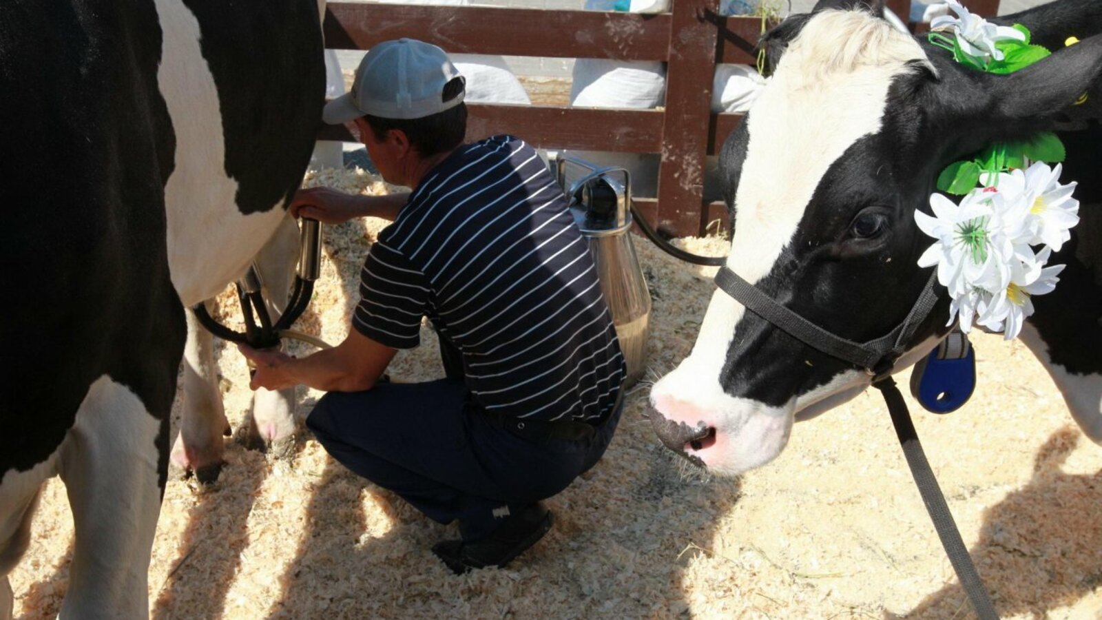 Олег Яровиков