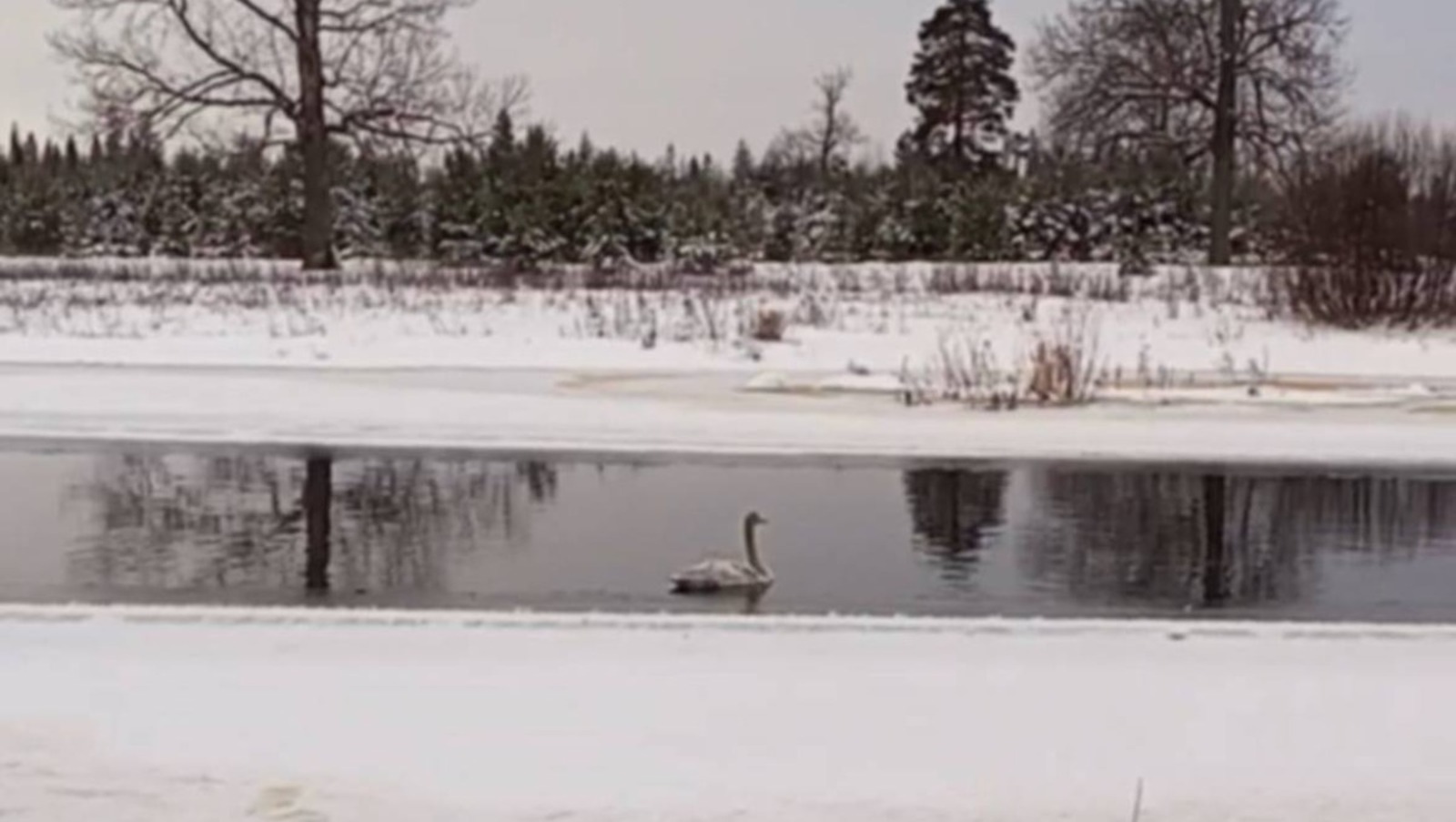 минсельхоз Нижегородской области Нижегородская правда