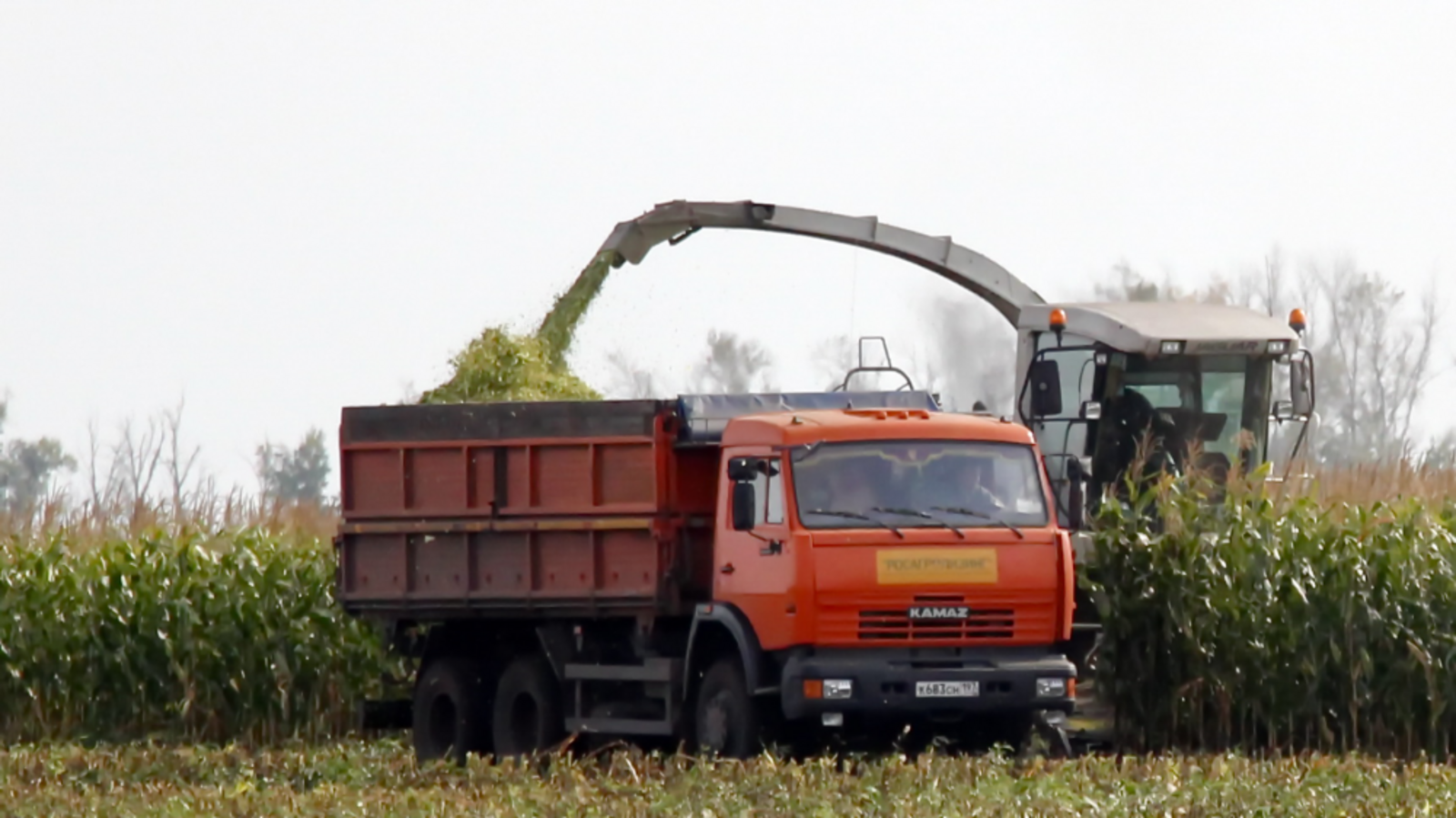 Минсельхоз РБ