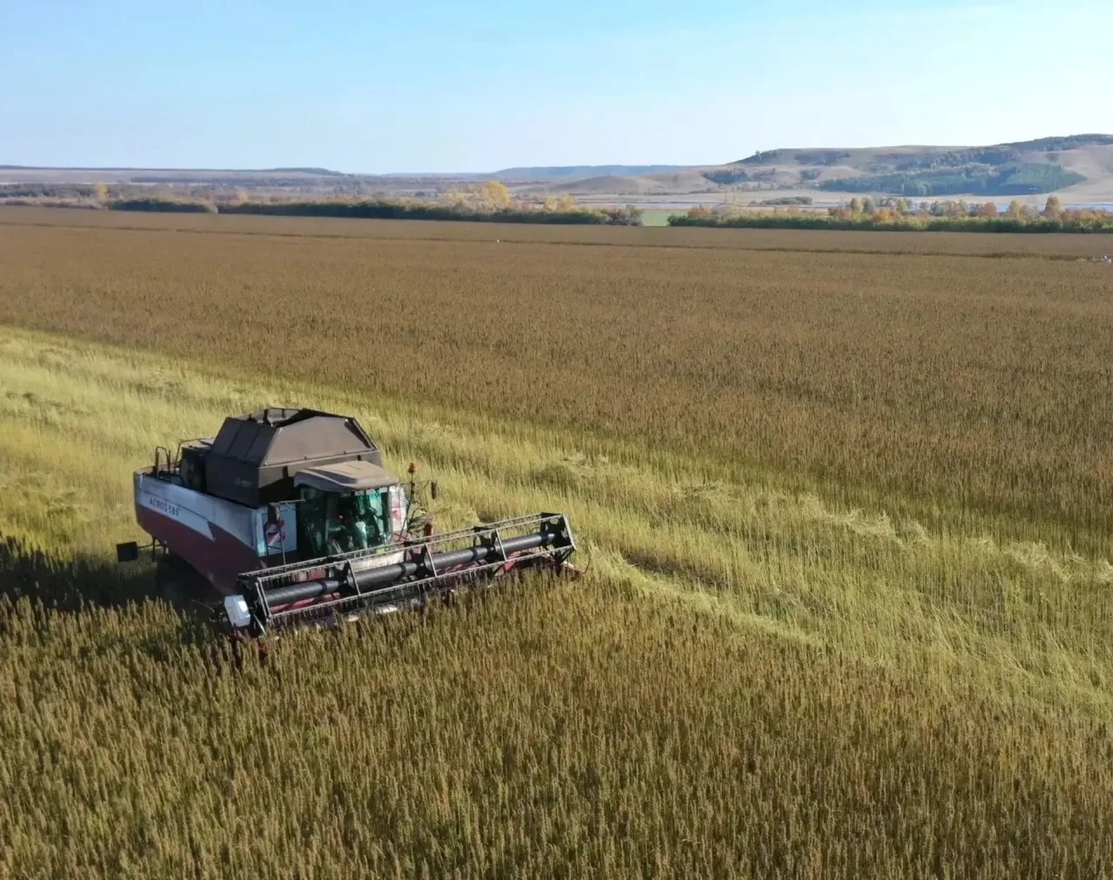 Радий Хабиров ТГ-канал