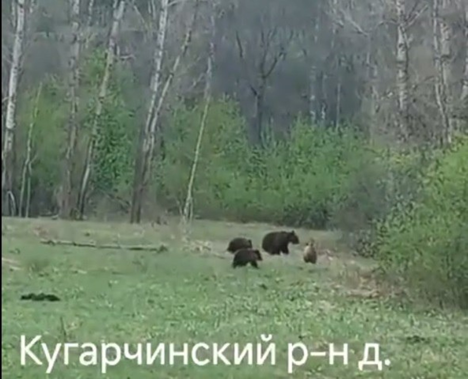 скриншот видео