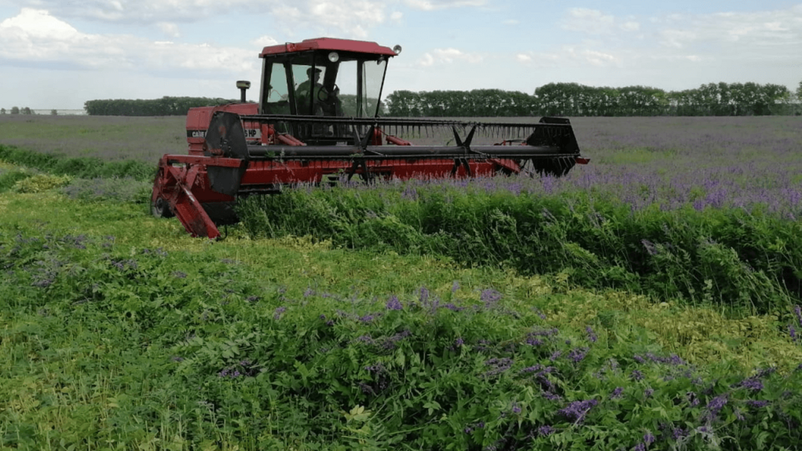пресс-служба Минсельхоза Башкирии