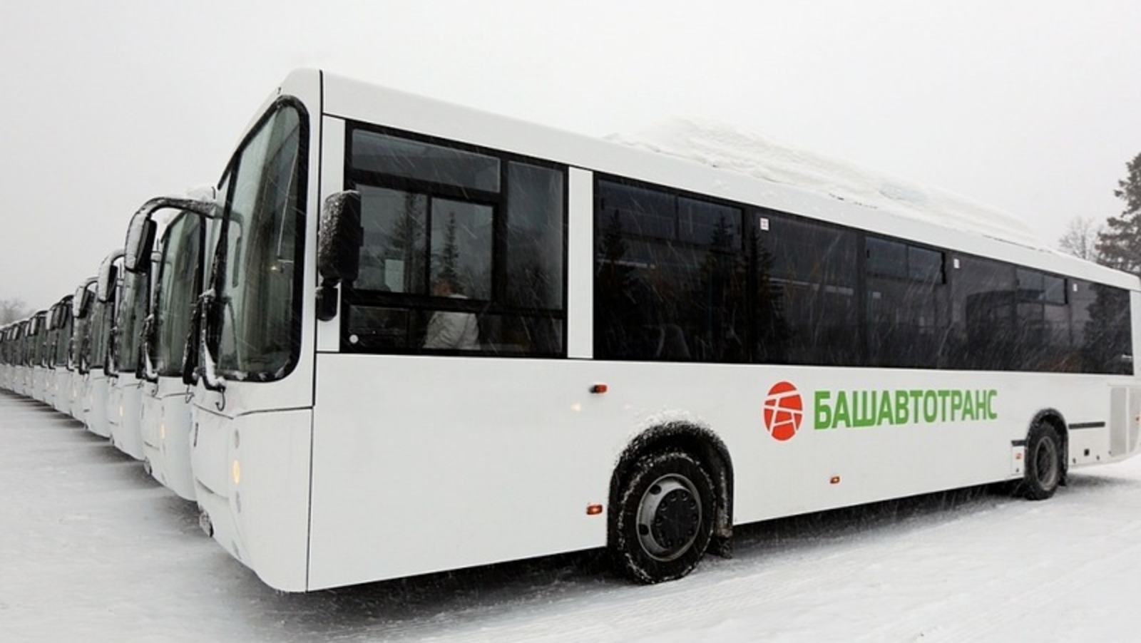 архив ИА "Башинформ"