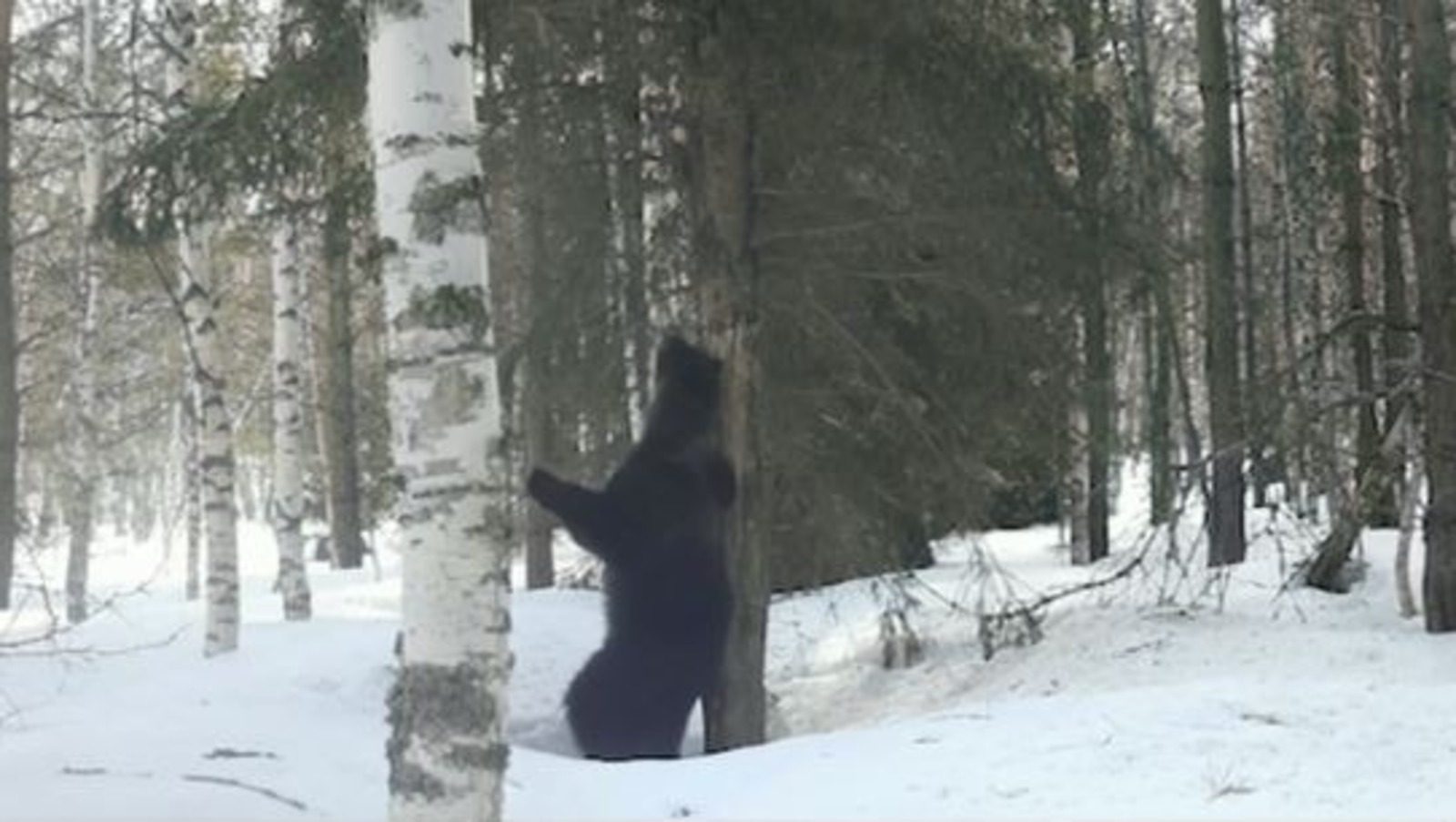 нацпарк «Башкирия»