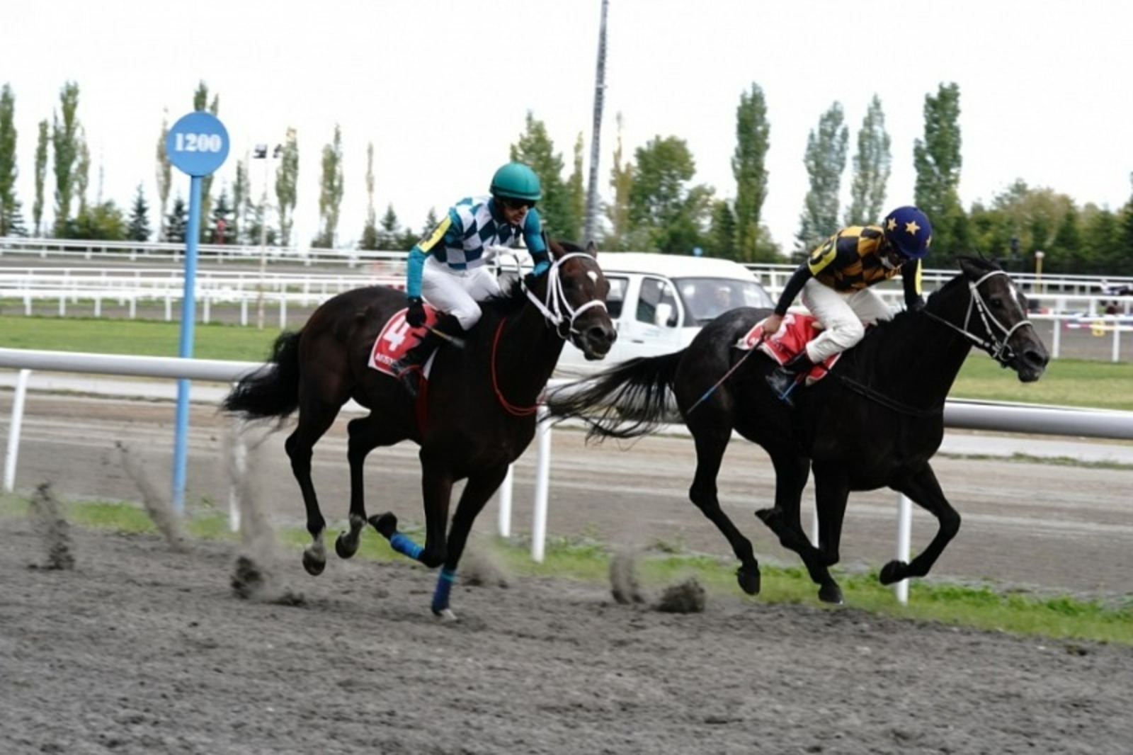 «Башинформ» мәғлүмәт агентлығы архивы