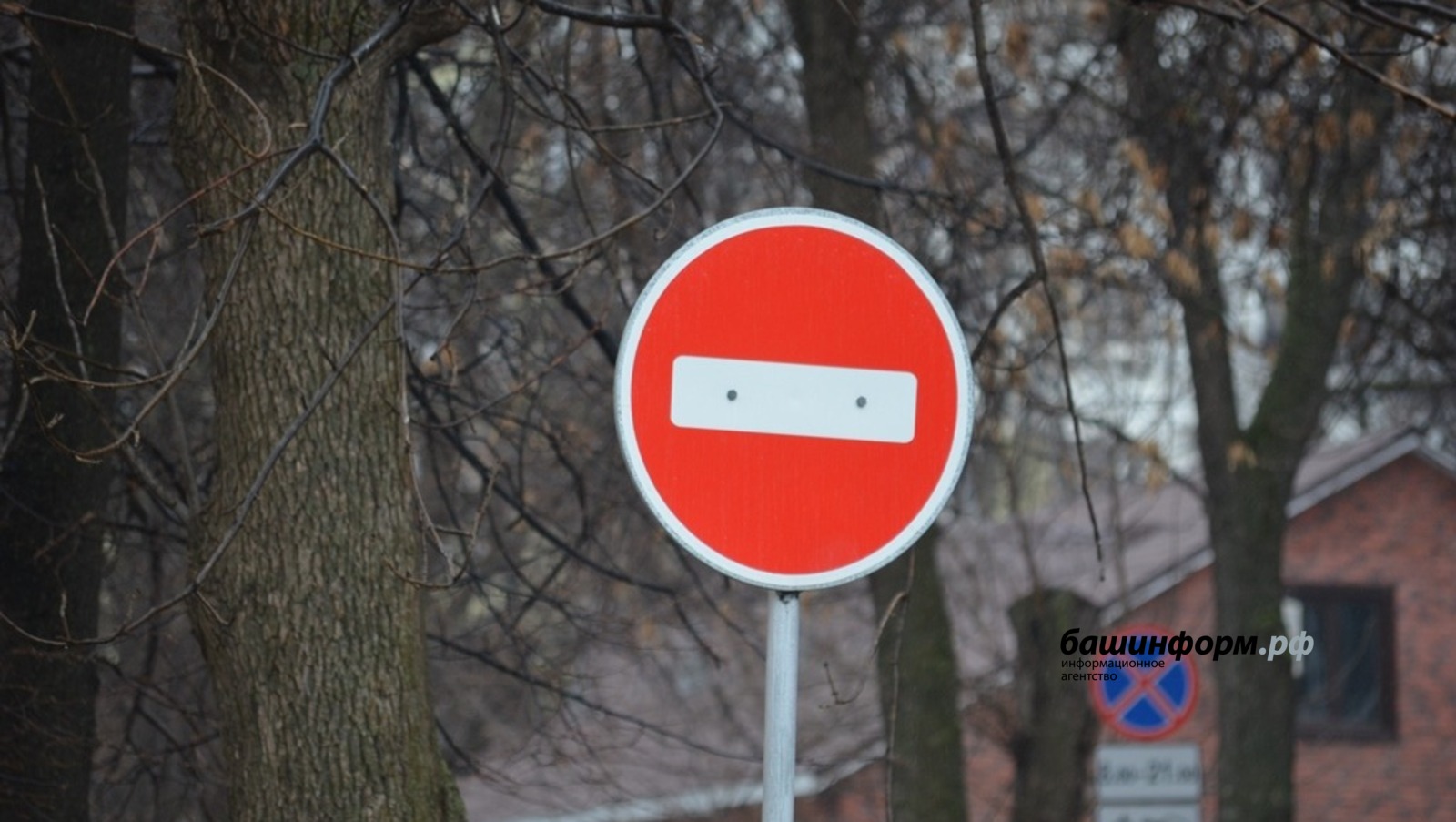 Ксения Калинина ИА Башинформ