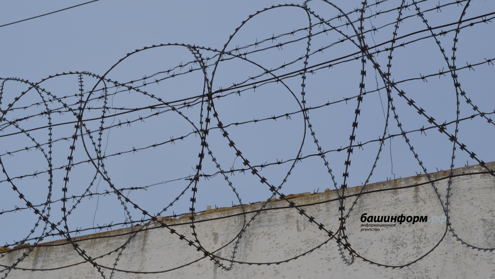 Ксения Калинина | Башинформ