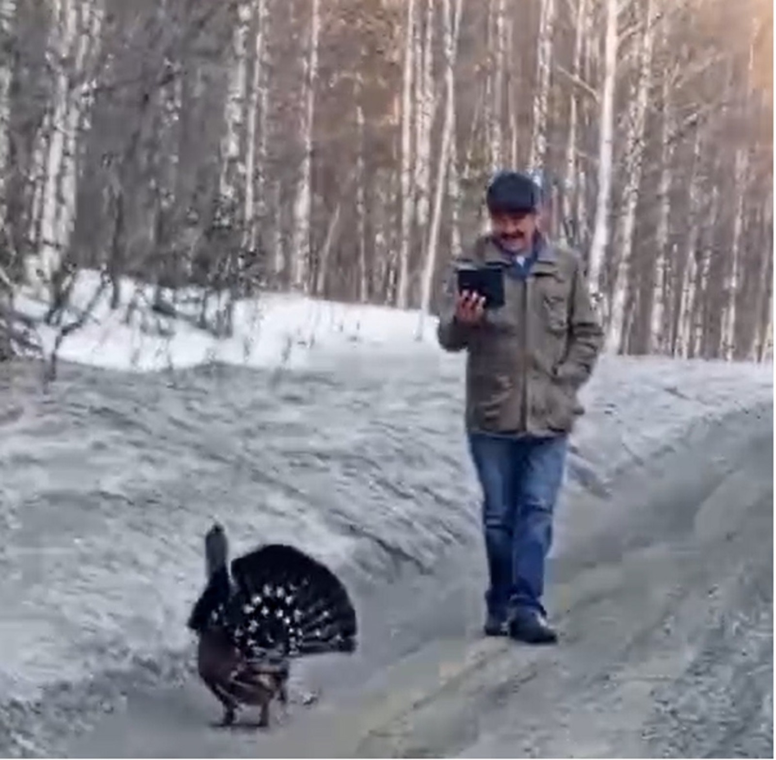 скриншот