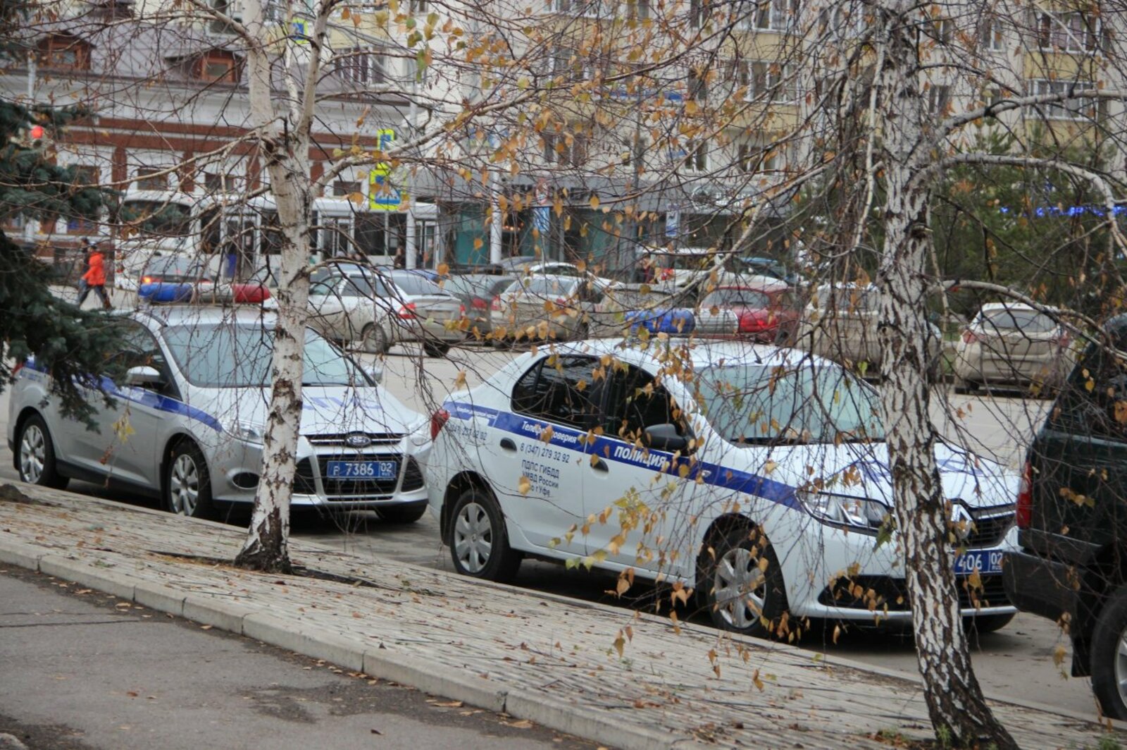 Ксения Калинина