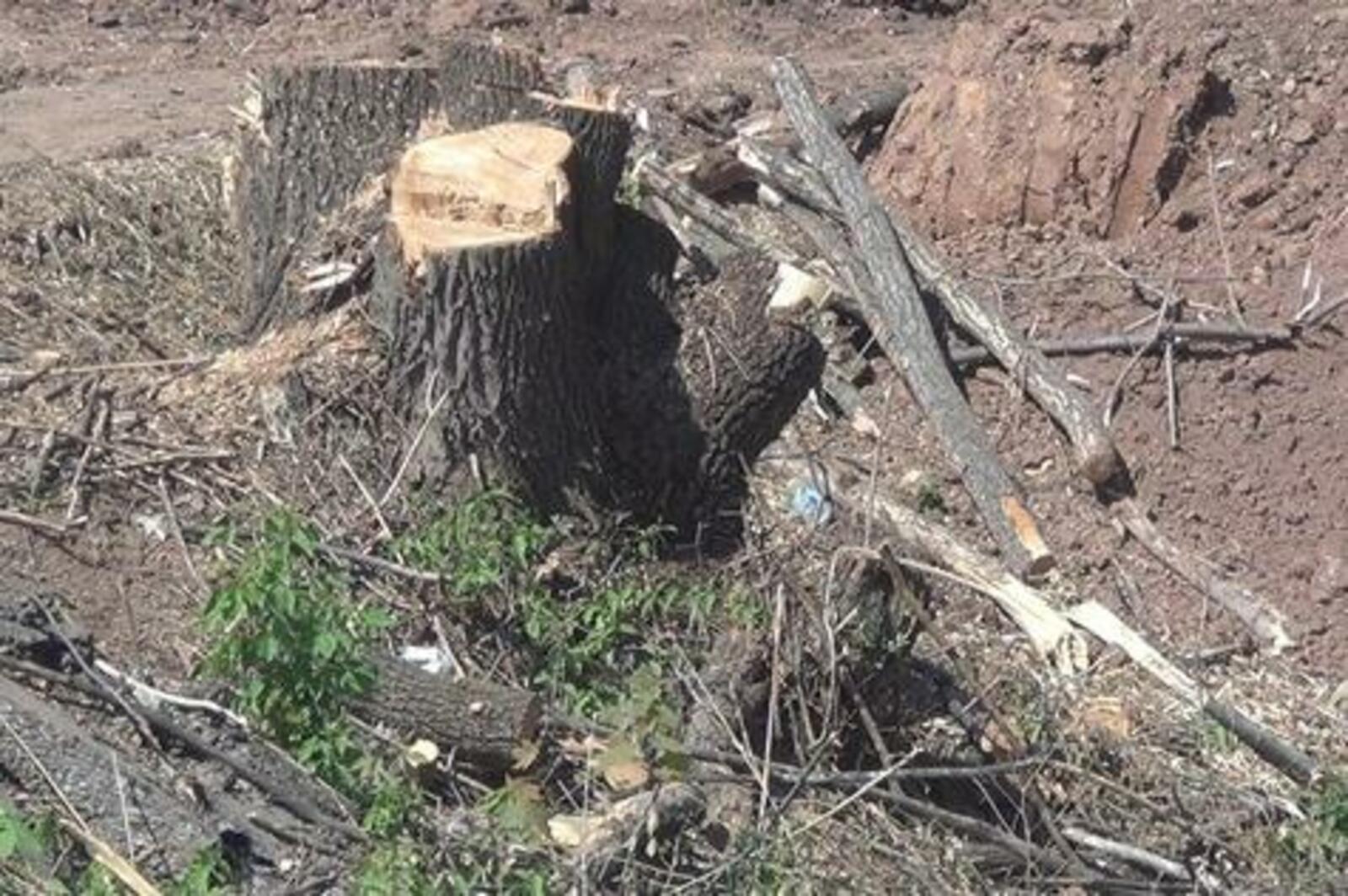 ИА  «Башинформ»