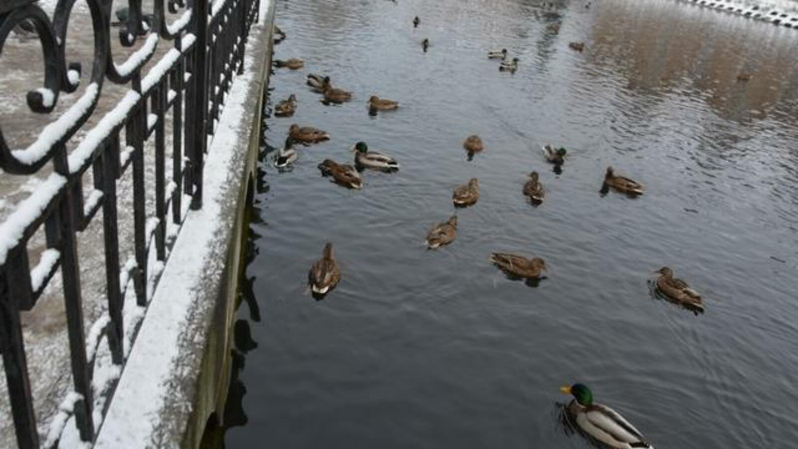 администрация Уфы