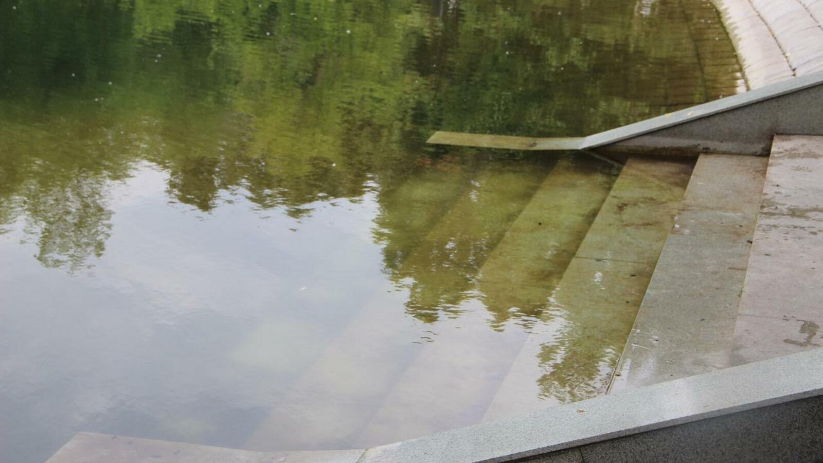 Ксения Калинина